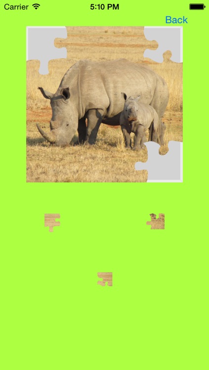 Safari Animals Jigsaw Puzzles screenshot-4