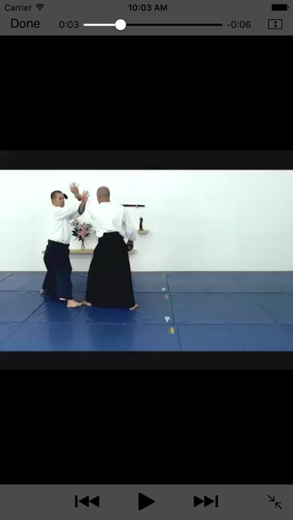 iBudokan - Aikido Exam