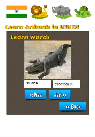 Learn Animals in Hindi Language screenshot 4