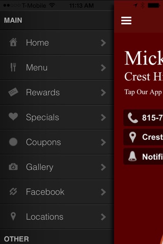 Mickey's Gyros screenshot 2