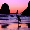 Surf Expo Surf Expo