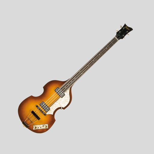 Teach Yourself Bass Guitar icon