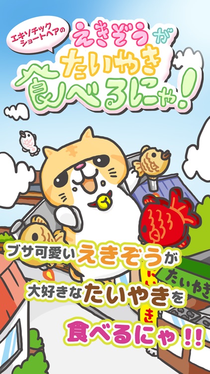 エキゾチックショートヘアーのえきぞうがたいやきを食べまくるにゃ！