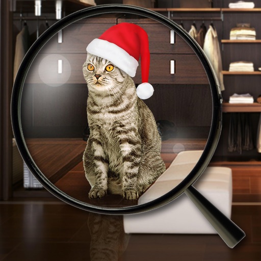 Hidden Object - New Year iOS App