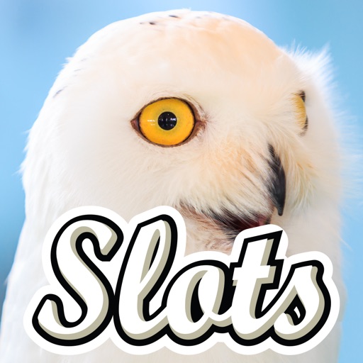 Winter Owl Slots - Play Free Casino Slot Machine! iOS App