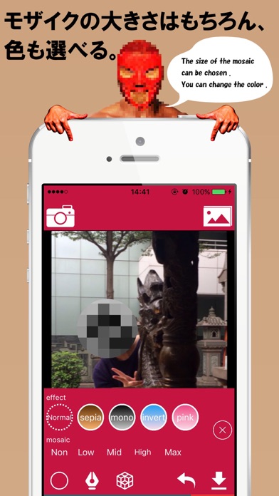 モザイク スタンプで写真の目隠し加工 モザカメ Iphoneアプリ Applion