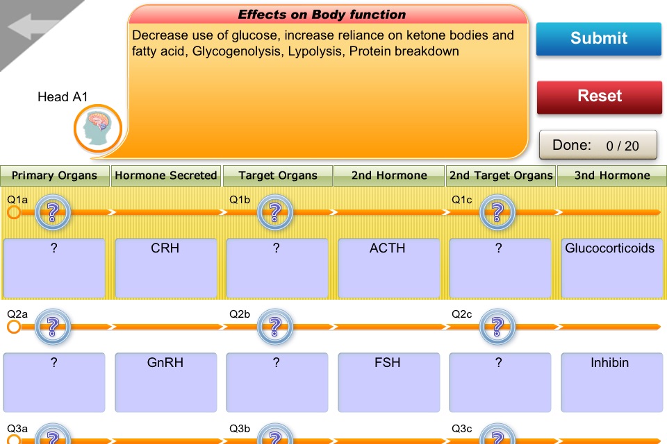 EndocrineQuiz screenshot 4
