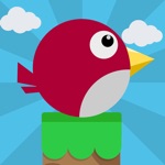 The Flappy Bouncing Bird the new classic original sliding bird game