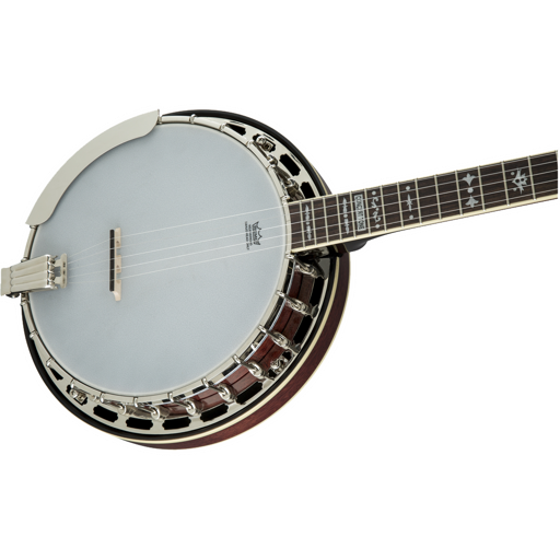 Teach Yourself To Play Banjo