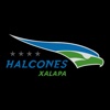 Halcones Xalapa