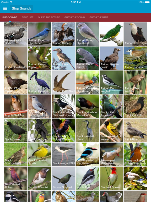 African Birds Sounds App Price Drops - 