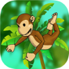 no app image