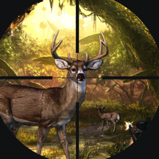 Activities of Mystery of Deep Forest Deer Hunting