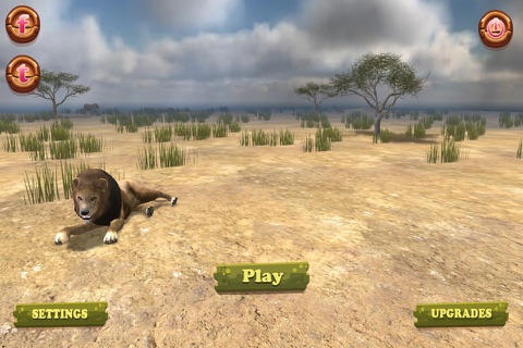 Wild Lion Adventures screenshot 3