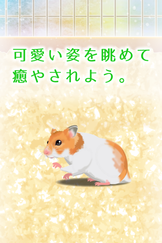 Hamster Pet screenshot 3