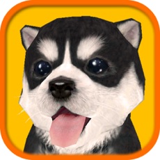 Activities of Dog Simulator HD