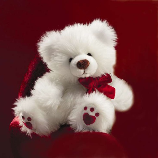 Valentine Love Teddy