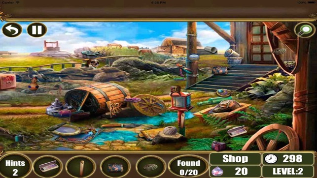 Forest Town Hidden Objects