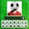 Guess the football player 2016 is interesting and informative game for football fans