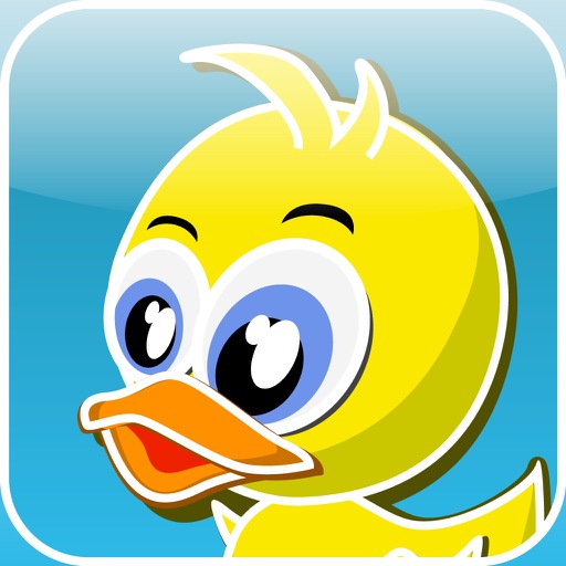 Duck Splash - Hero of the Yellow Ducks iOS App