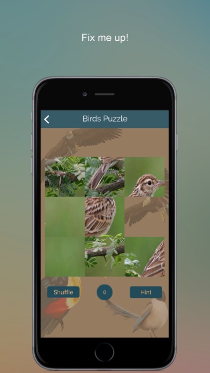 Perching Birds PRO: SMART guide to beautiful Singing Birds with Games & Puzzles screenshot-4