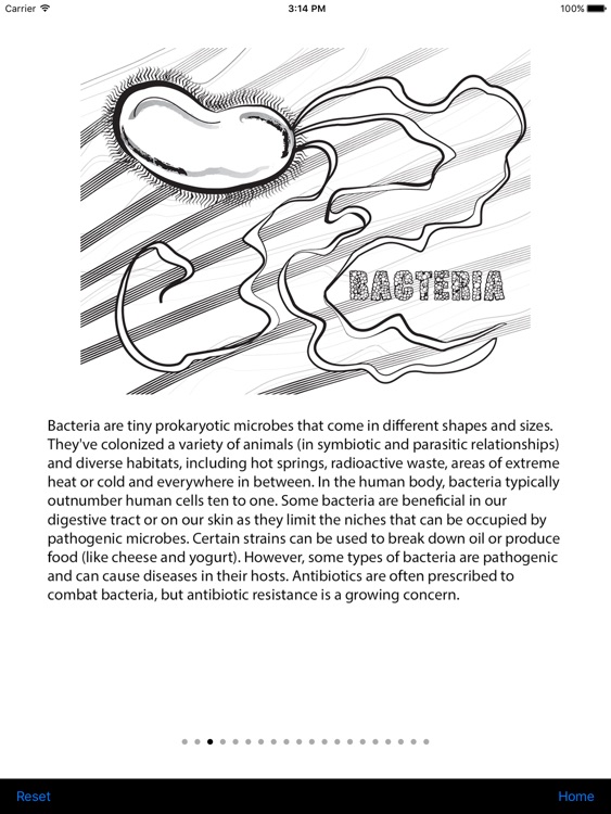 BioLegend Coloring Book screenshot-3