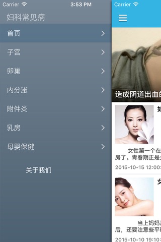 妇科病防治调养保健知识百科 - 家庭妇科掌上速查手册 screenshot 2