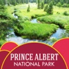 Prince Albert National Park Guide