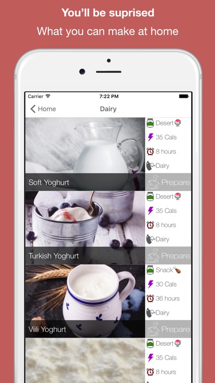 Food Fermentation & Pickling Recipes screenshot-3