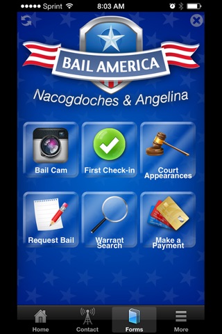 Bail America Angelina screenshot 3