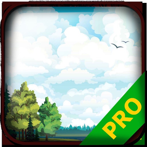 PRO - Paradise Never Game Version Guide icon