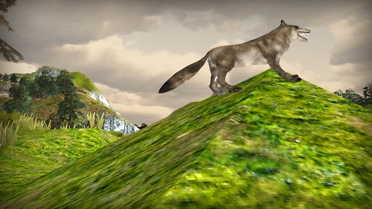 Angry Wolf Attack Simulator 3D - Wild Safari Animals Survival Game screenshot-3