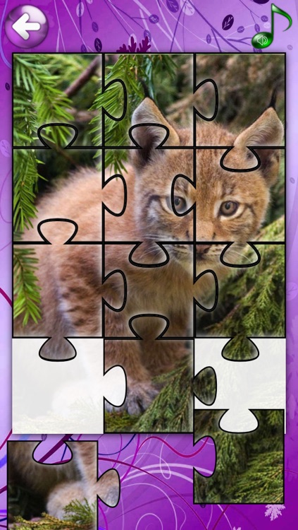 Red Panda Puzzles Jigsaws Games with Wild Animals in the Zoo screenshot-3