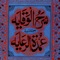 Sharh ul Wiqayah is an Islamic book and is part of Darse Nizami course