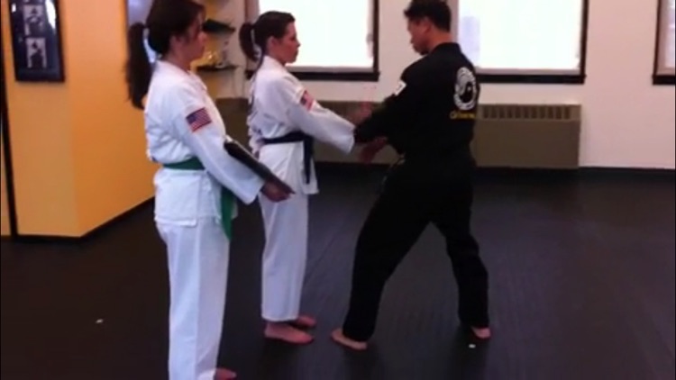 Self Defense 2016 screenshot-4