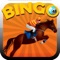 Horse Way Bingo Pro - Bingo Casino Game