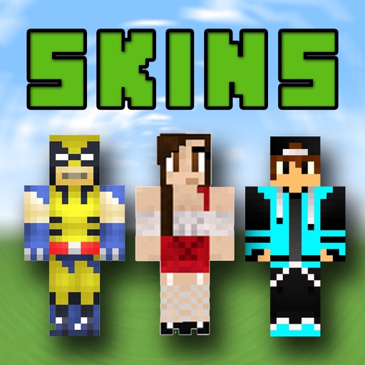 Best 3D Skins - New Collection for Minecraft PE & PC icon
