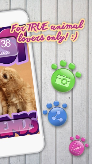可愛的動物背景和圖片 - 美麗狗和貓壁紙集合(圖2)-速報App