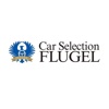 Car Selection FLUGEL