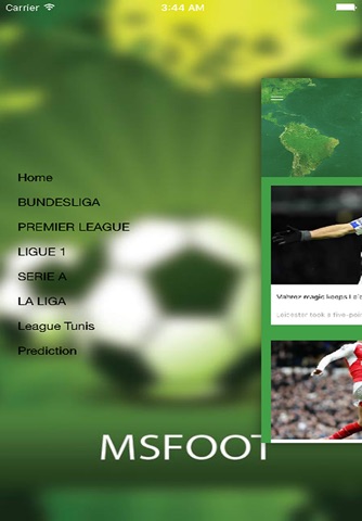 MSFOOT screenshot 4