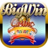 Big WIN Casino - SLOTS Game Play FREE