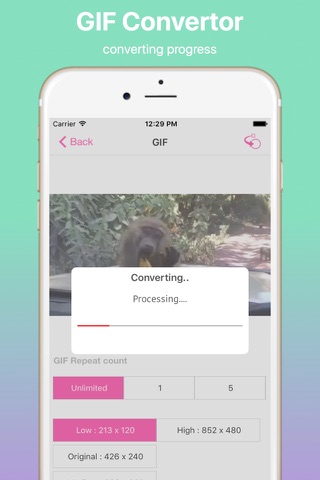 Video to GIF Convertor Pro - náhled