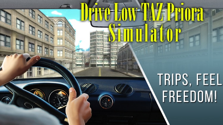 Drive Low TAZ Priora Simulator