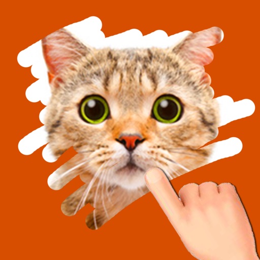 A Cat Game for Kids - Playing cool best Hidden Pics game - Not a Dogs game but an app for Cat Lover iOS App