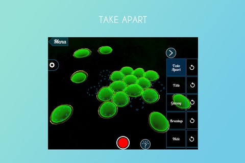 VR Mesophyll Cells screenshot 4