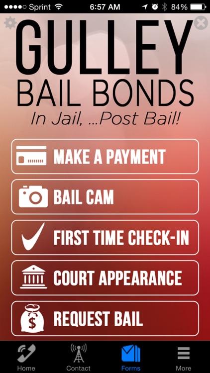 Gulley Bail bonds