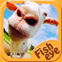  Fish Eye Camera - Selfie Photo Editor with Lens, Color Filter Effects Alternative