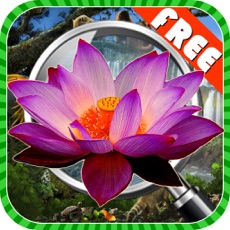 Activities of Hidden Objects:Hidden Object Wonderful World