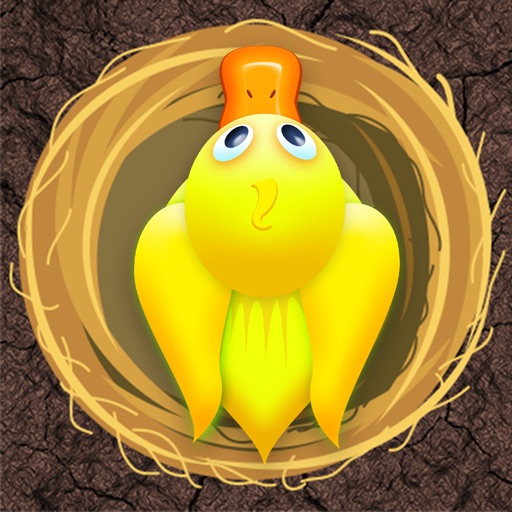 Amazing Bird Nest Jumper - new fast racing arcade game icon