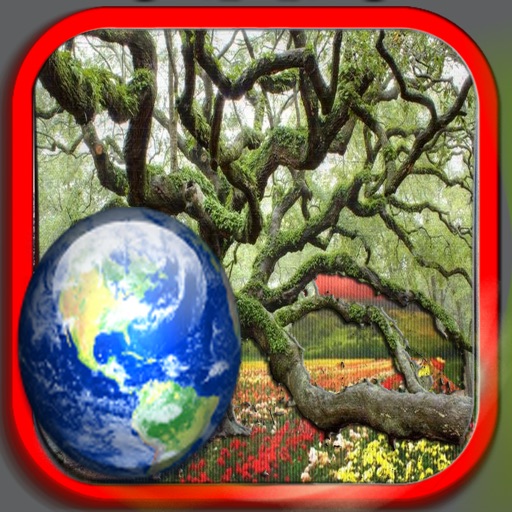 Hidden Forest iOS App